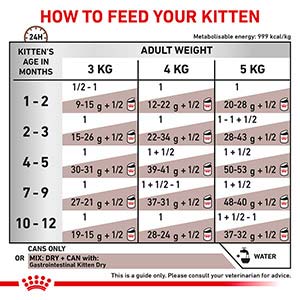جدول راهنمای تغذیه غذای پوچ بچه گربه رویال کنین کیتن